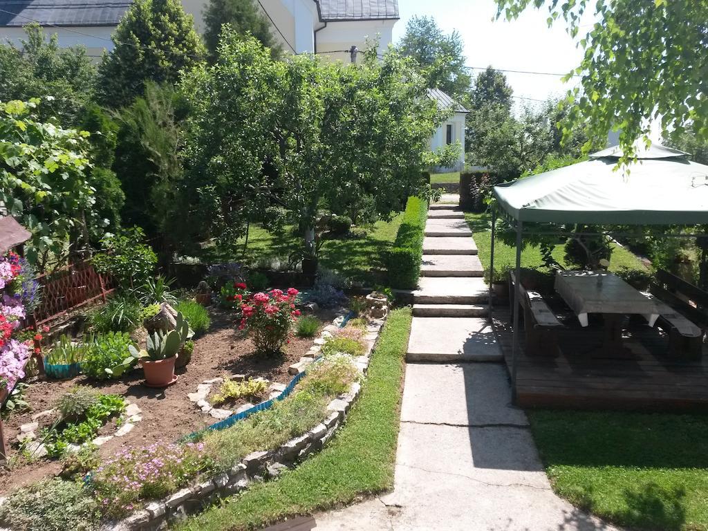 Guesthouse Pavlicic Dreznik Grad Exterior photo