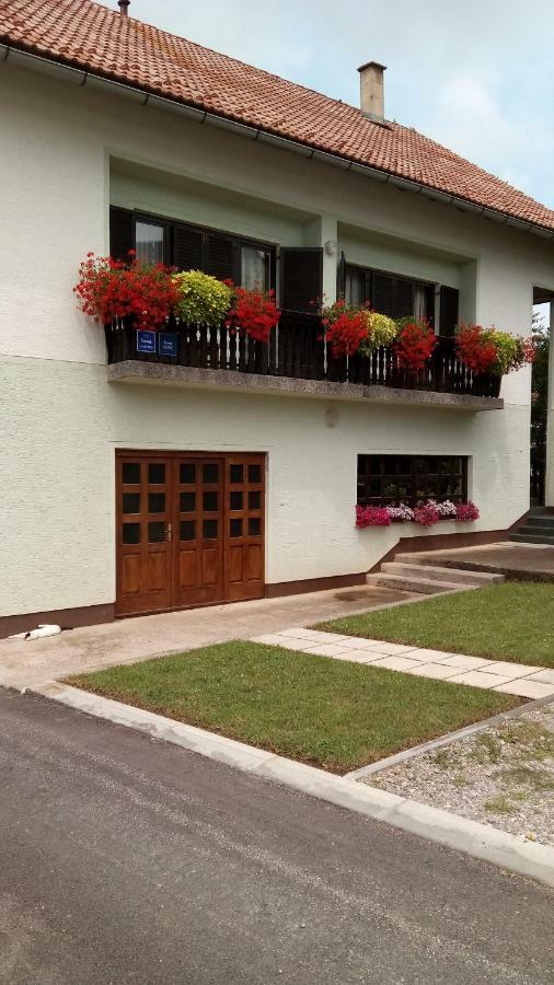 Guesthouse Pavlicic Dreznik Grad Exterior photo